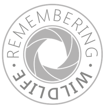 Remembering Wildlife Logo